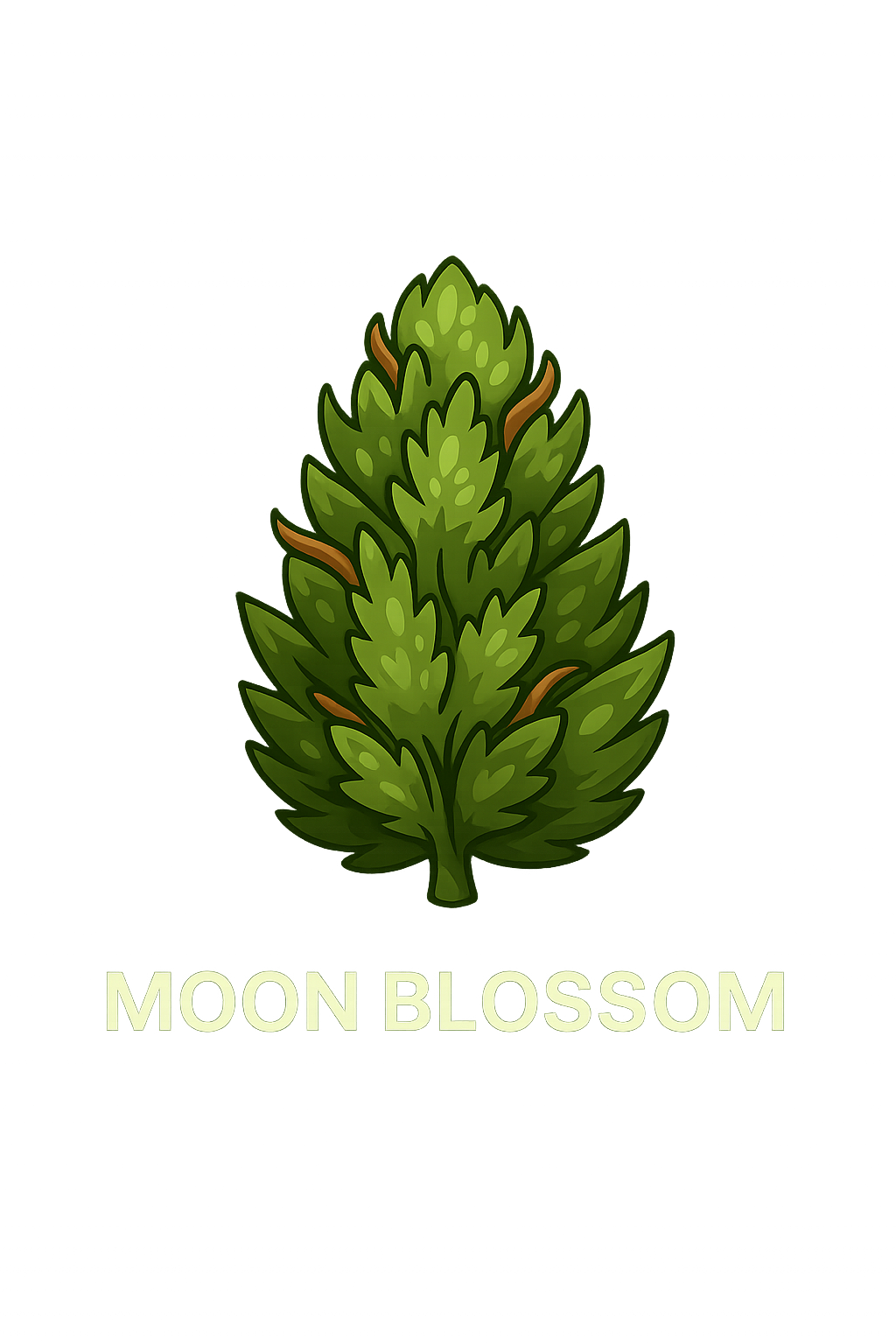 Citrus Bloom